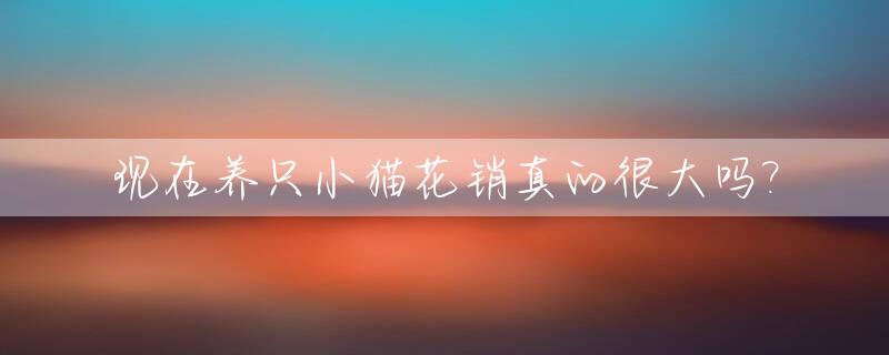现在养只小猫花销真的很大吗?_养小猫花费多吗