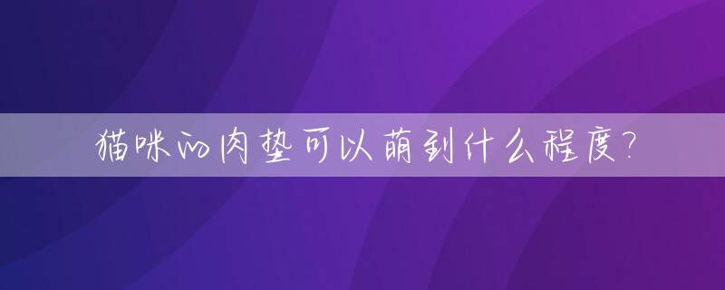 猫咪的肉垫可以萌到什么程度?_猫的肉垫是软的吗
