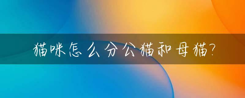 猫咪怎么分公猫和母猫?_猫怎么区分公的母的