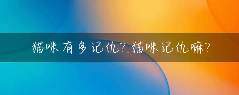 猫咪有多记仇?_猫咪记仇嘛?