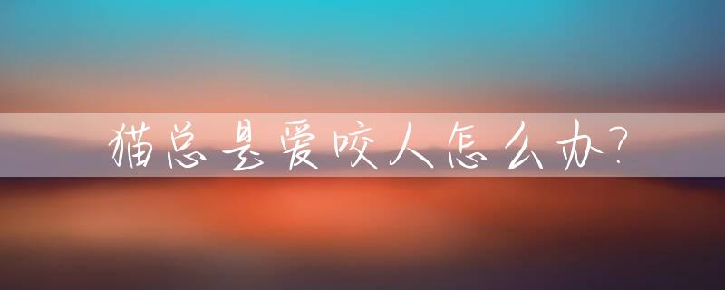 猫总是爱咬人怎么办?_猫咪老是爱咬人怎么办