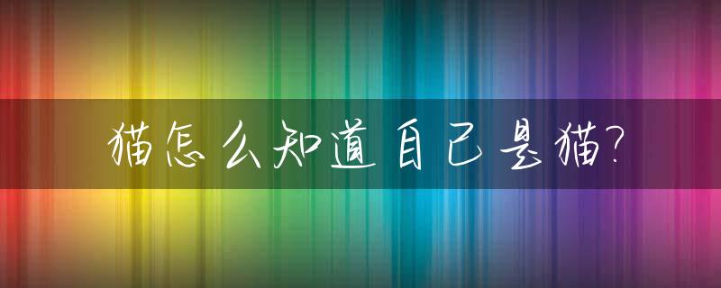 猫怎么知道自己是猫?_猫怎么知道自己是猫还是狗
