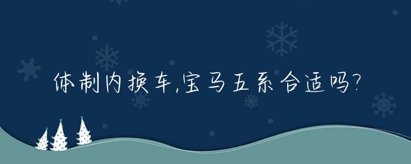 体制内换车,宝马五系合适吗?