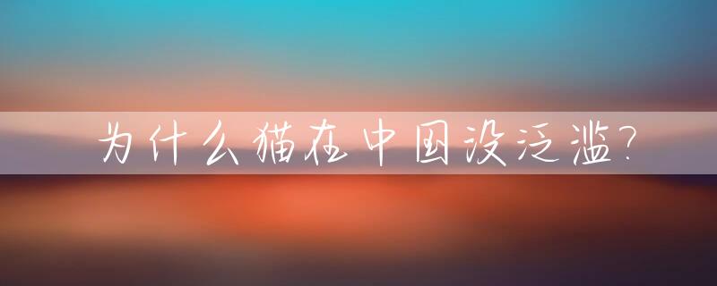 为什么猫在中国没泛滥?_为什么中国猫没有美国猫好看