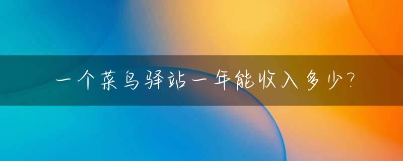 一个菜鸟驿站一年能收入多少?_一个菜鸟驿站一年能收入多少钱