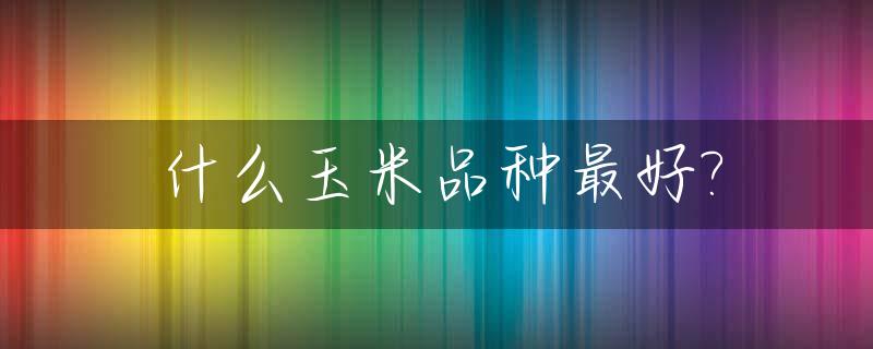 什么玉米品种最好?_玉米新品种介绍