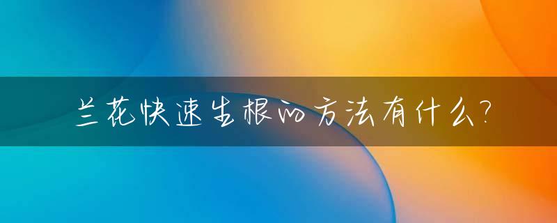 兰花快速生根的方法有什么?_兰花怎样生长根系