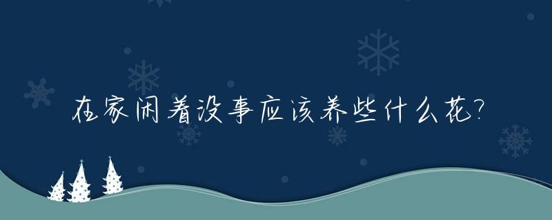 在家闲着没事应该养些什么花?_在家闲着没事干可以玩什么