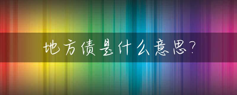 地方债是什么意思?_地方债指什么