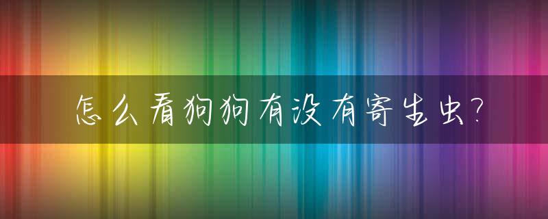 怎么看狗狗有没有寄生虫?_怎么查狗狗有没有寄生虫