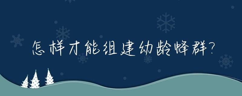 怎样才能组建幼龄蜂群?_怎样才能组建幼龄蜂群群体