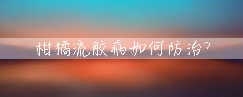 柑橘流胶病如何防治?_柑橘流胶病会传染吗