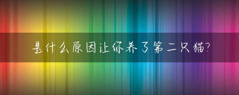 是什么原因让你养了第二只猫?_要养第二只猫有什么注意的吗