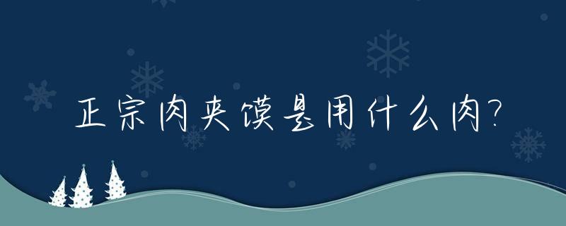 正宗肉夹馍是用什么肉?_肉夹馍是用什么肉做的