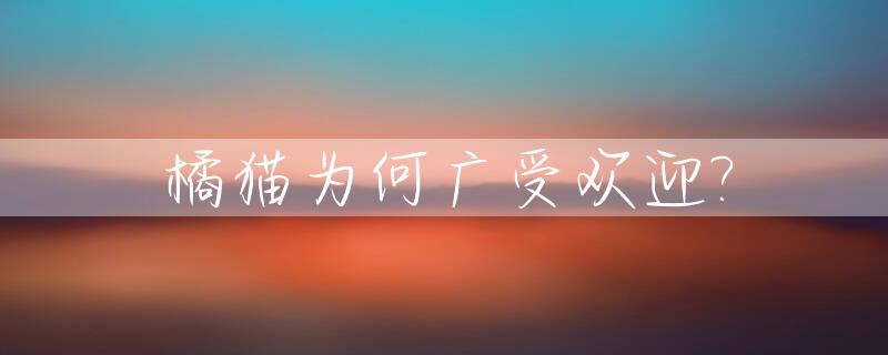 橘猫为何广受欢迎?_橘猫为什么不值钱