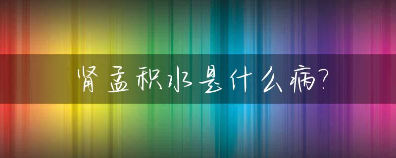 肾孟积水是什么病?_肾孟积液是什么意思