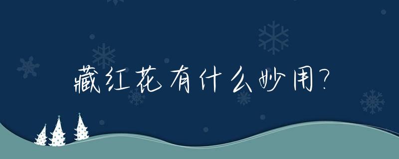 藏红花有什么妙用?_藏红花有什么用处