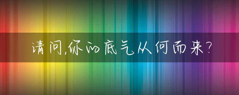 请问,你的底气从何而来?_请问,你的底气从何而来英文