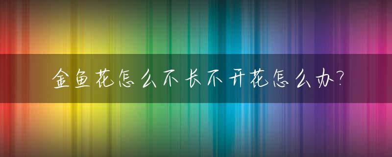 金鱼花怎么不长不开花怎么办?_金鱼花为什么总是长叶子不开花呢