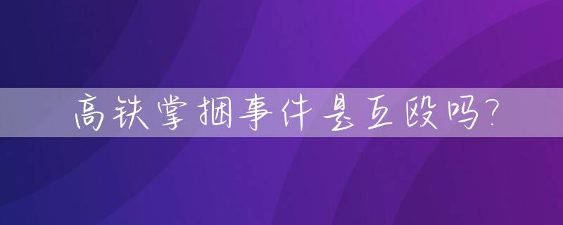 高铁掌捆事件是互殴吗?_手拦高铁