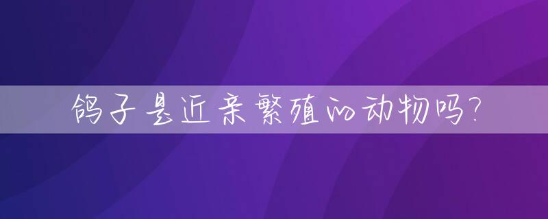 鸽子是近亲繁殖的动物吗?_鸽子近亲繁殖的后代怎么样