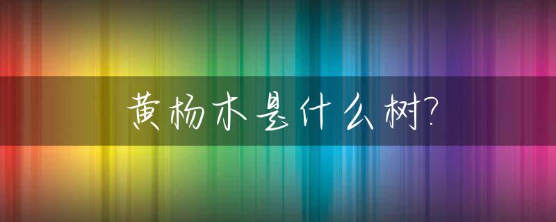 黄杨木是什么树?_黄杨木是什么木种
