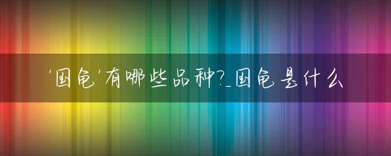 '国龟'有哪些品种?_国龟是什么